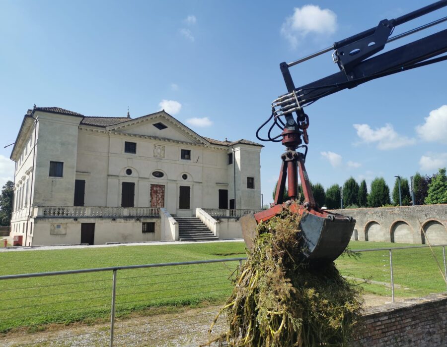 raccolta ramaglie con braccio meccanico e smaltimento in villa palladiana